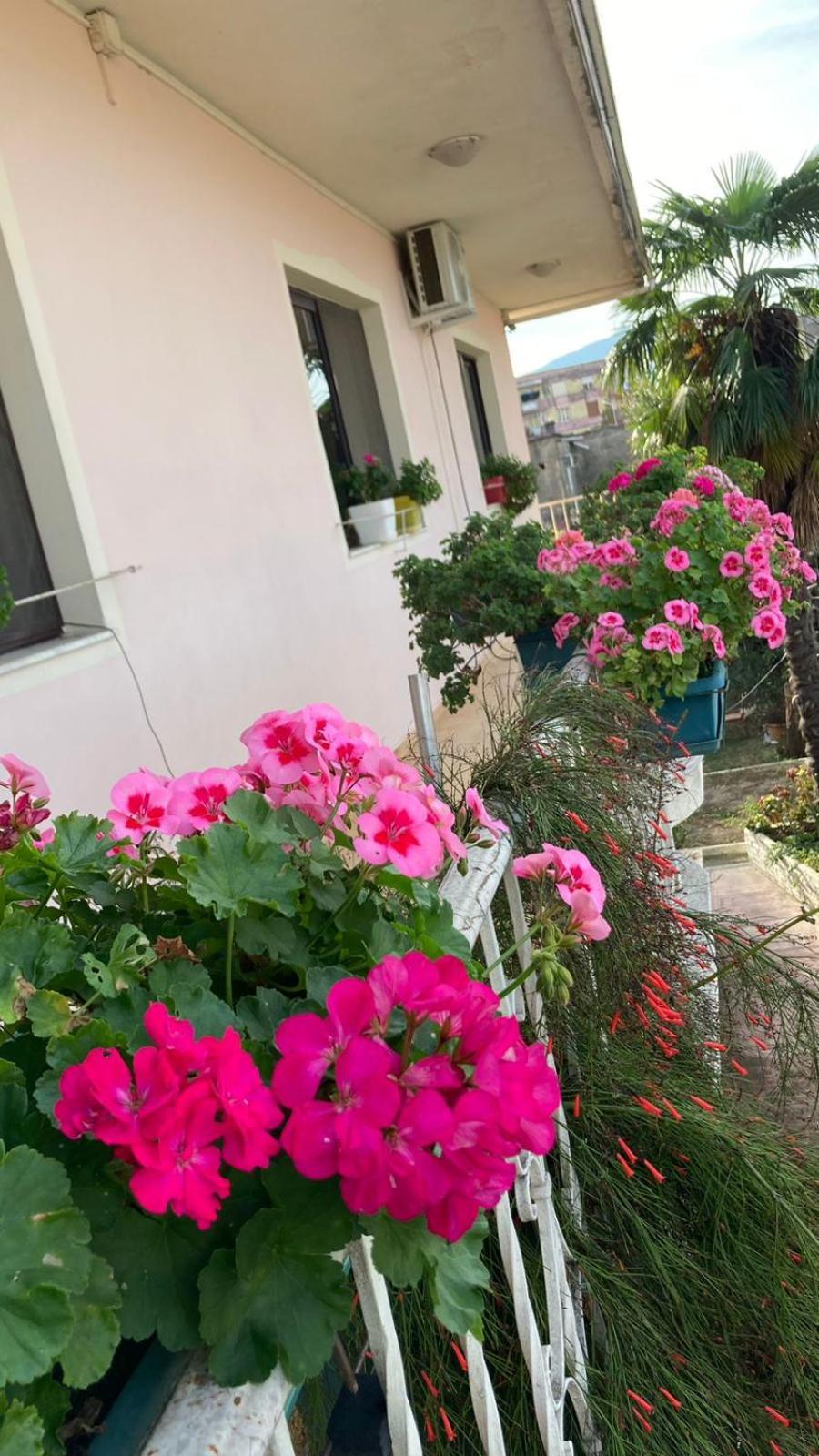 Blissful Hostel Шкодер Экстерьер фото