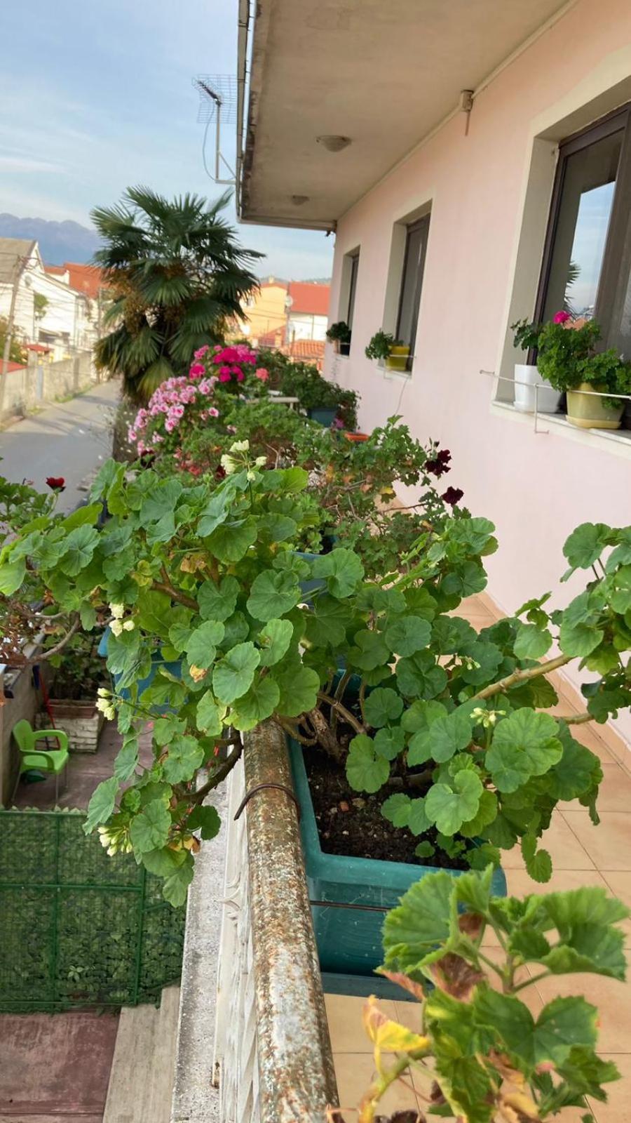 Blissful Hostel Шкодер Экстерьер фото