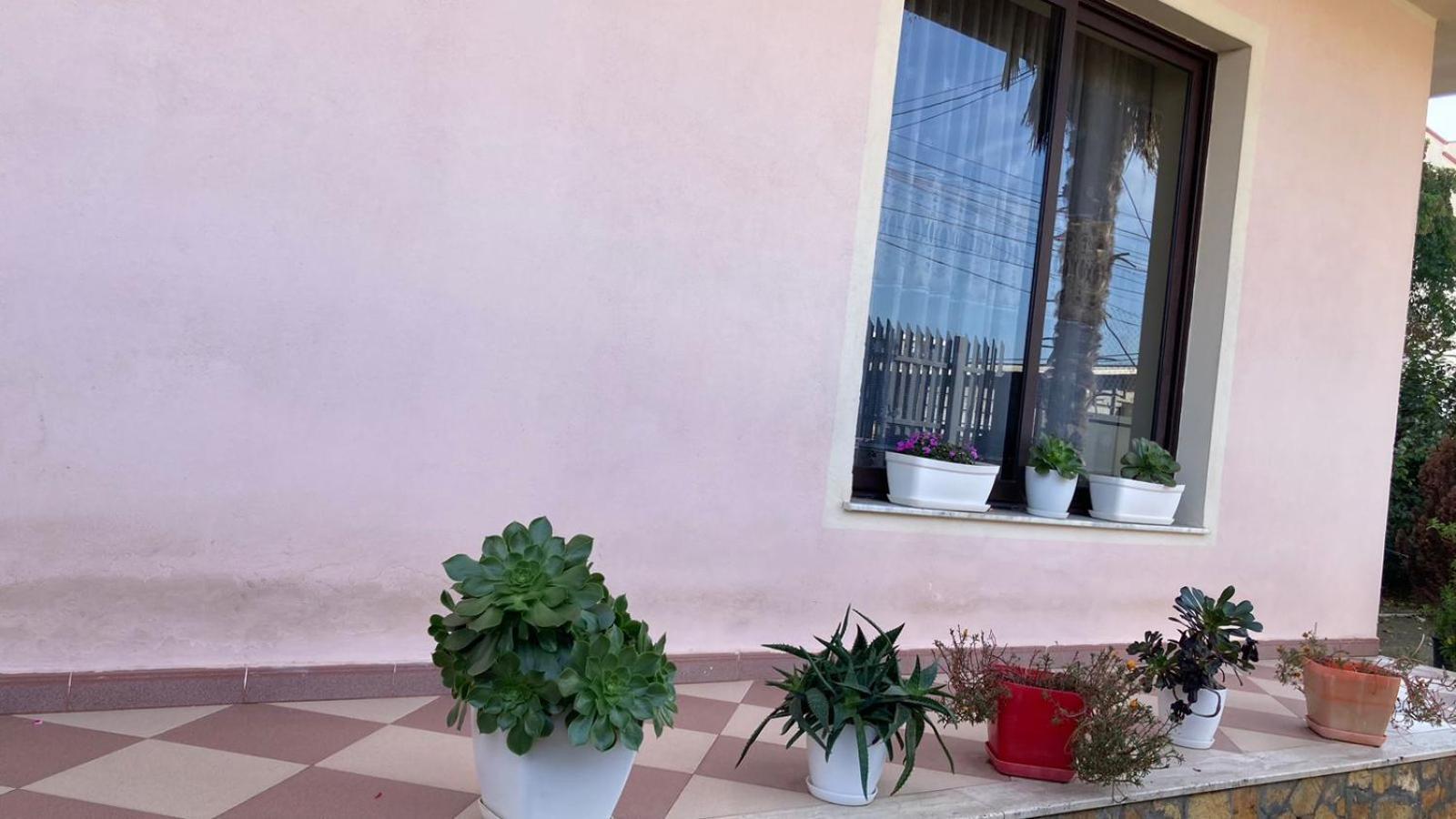 Blissful Hostel Шкодер Экстерьер фото